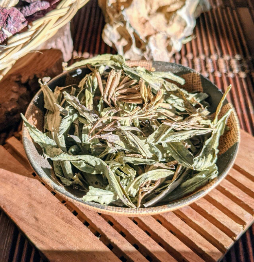 Pericon Mexican Tarragon sweet-scented marigold, Mexican marigold, Mexican mint marigold, Mexican tarragon, sweet mace, Texas tarragon, pericón, yerbaniz, and hierbanís Tegetes lucida Tea incense lucid dreaming herb