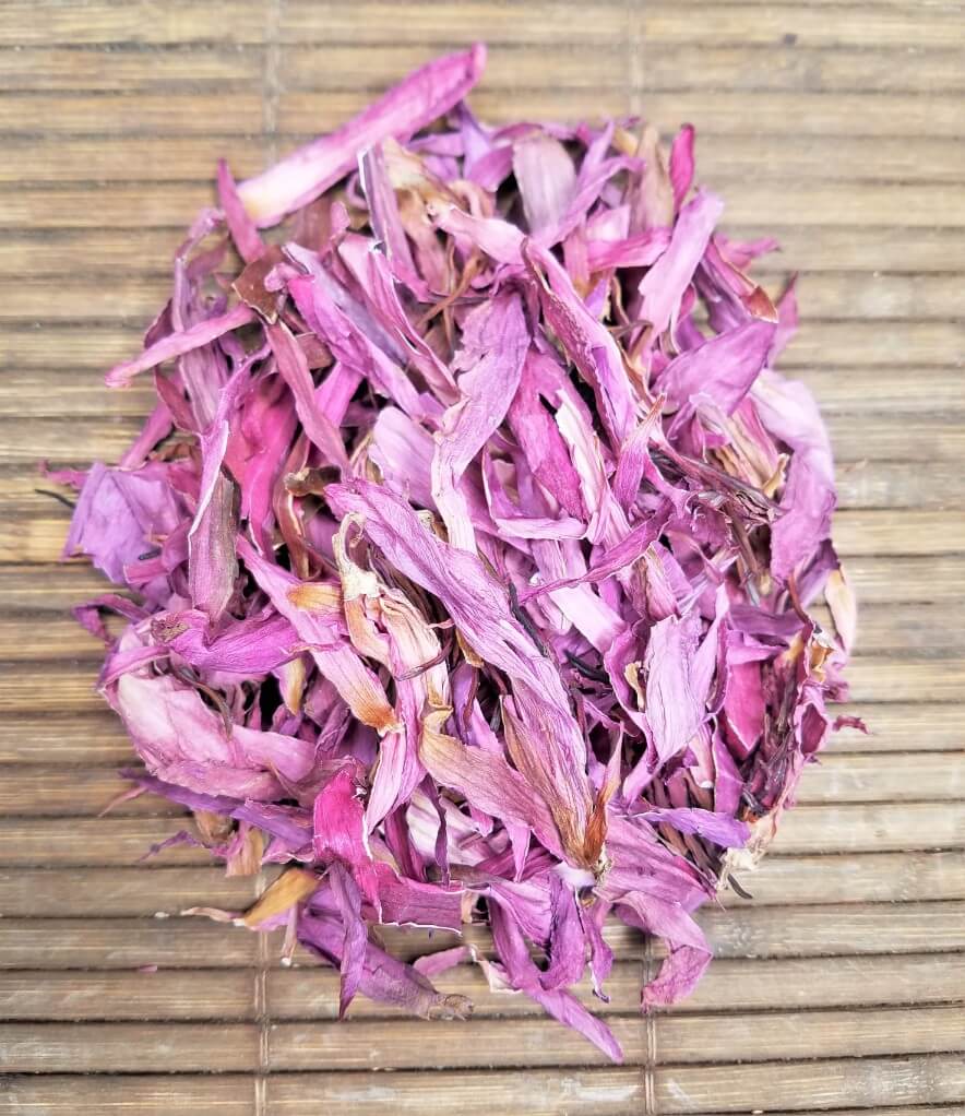 Red Lotus Nymphaea rubra Red Lotus and white harvesting Nymphaea rubra Red Lotus for Deepening Shamanic, Meditation, Dreaming or Yogic Practices. Activate, Open, Cultivate and Enhance THIRD EYE Activity. DREAM HERB