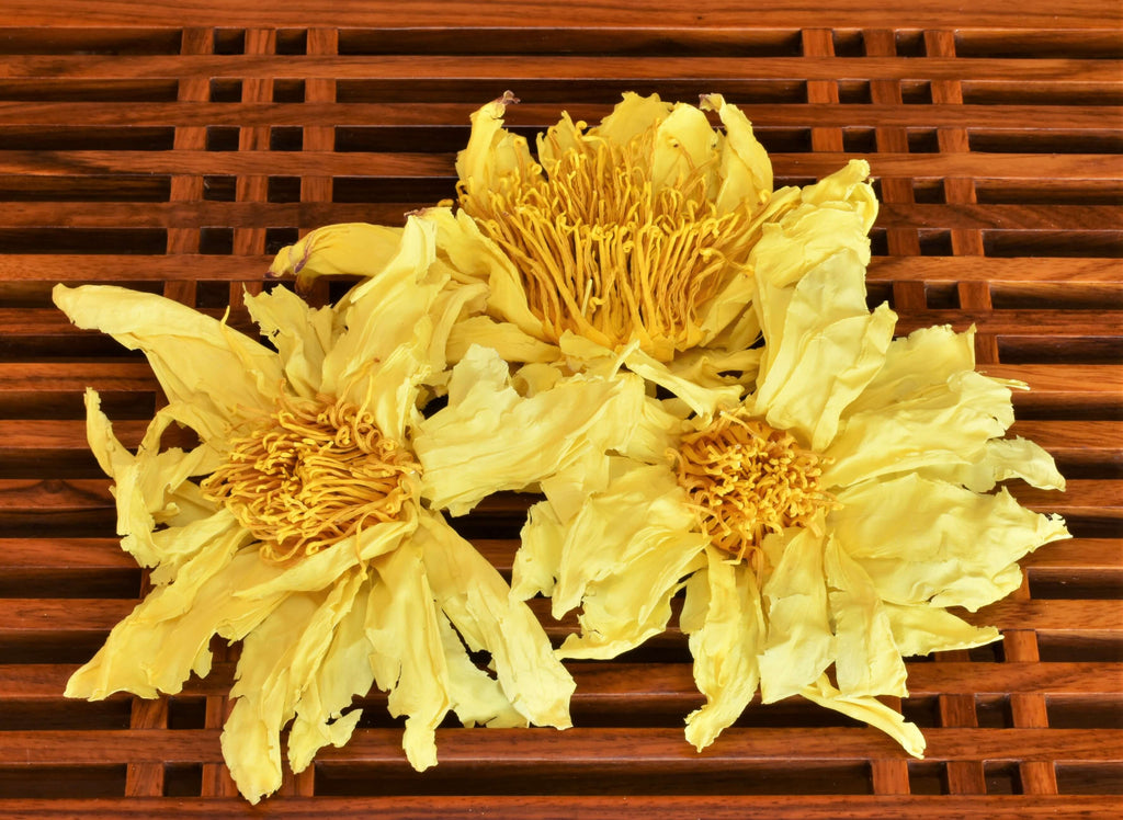 Yellow lotus flowers blossom nympheae lutea harvesting Nymphaea rubra Red Lotus for Deepening Shamanic, Meditation, Dreaming or Yogic Practices. Activate, Open, Cultivate and Enhance THIRD EYE Activity. DREAM HERB
